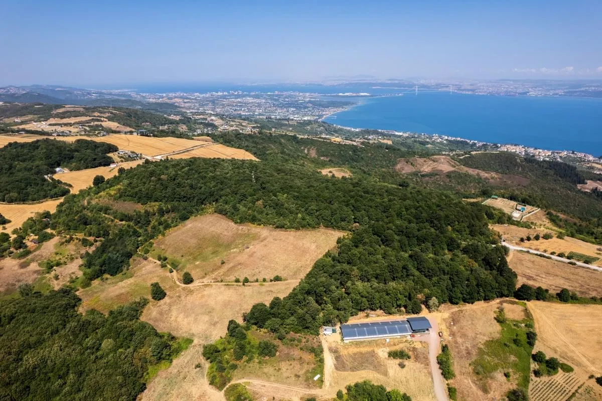 Quvars Invest Arazi Tanıtım Filmi Tanıtım Filmi