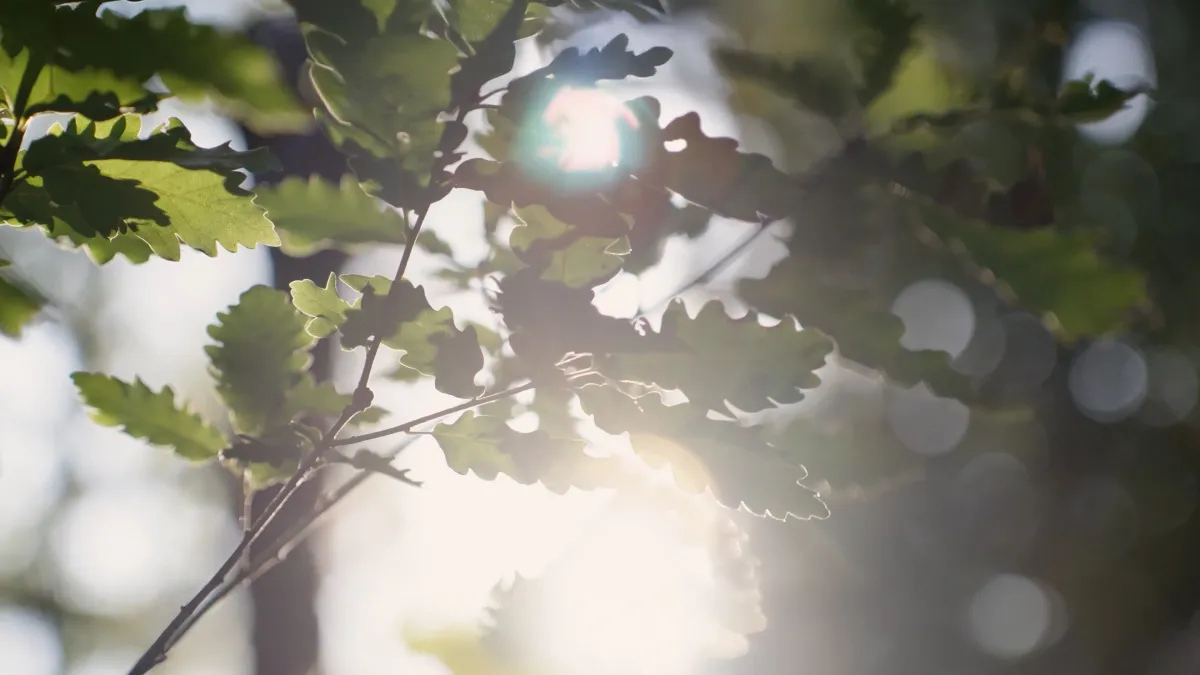 Quvars Invest Tanıtım Filmi