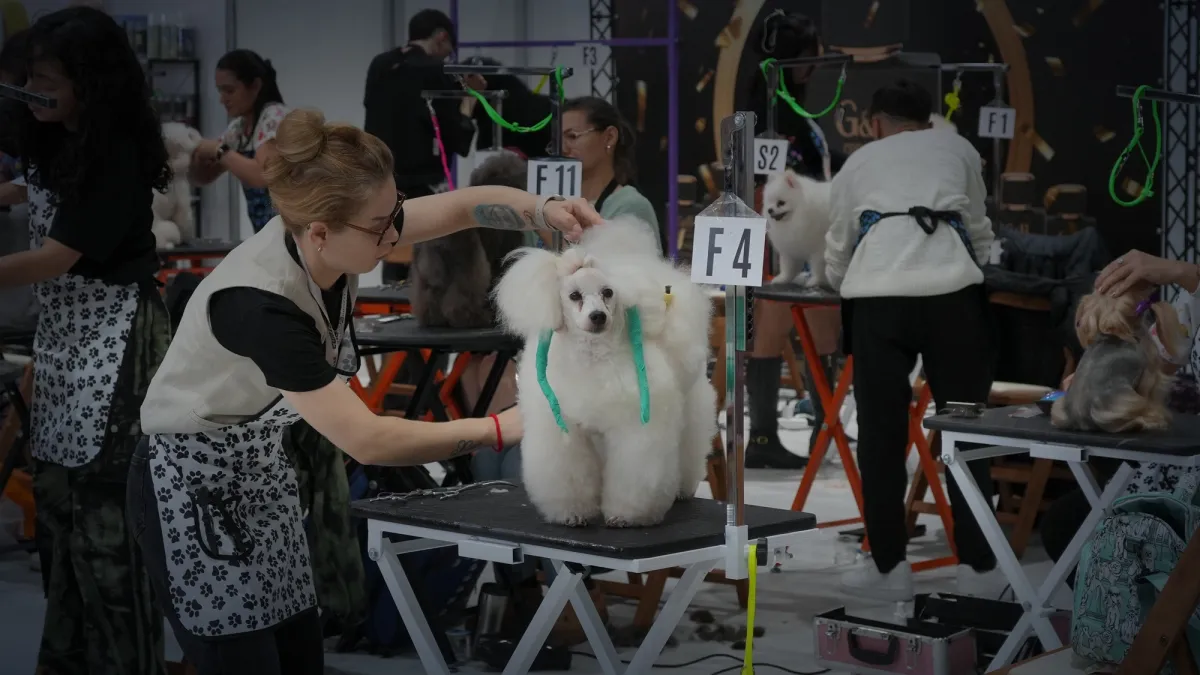 Pet İzmir 2026 Etkinlik Çekimi