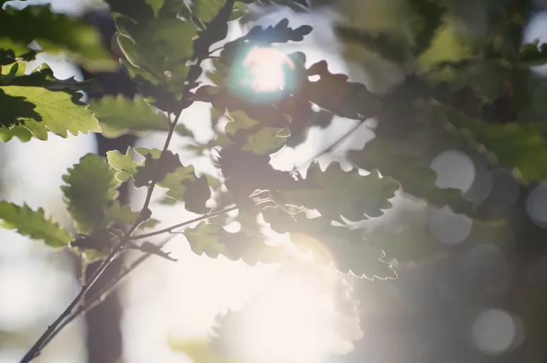 Quvars Invest Tanıtım Filmi