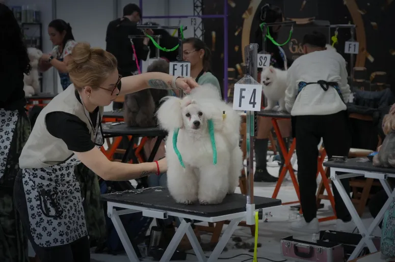 Pet İzmir 2026 Etkinlik Çekimi